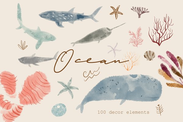 Download Watercolor Sea Animals Bundle