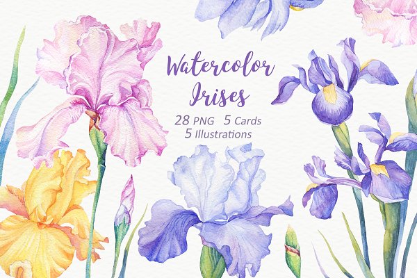 Download Watercolor Irises