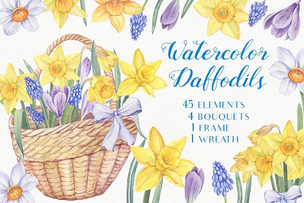 Download SALE! Watercolor Daffodils