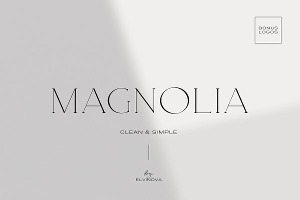Download Magnolia. Modern Serif Font