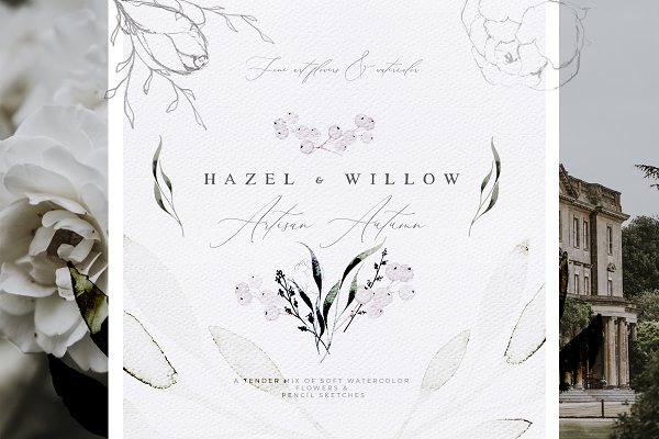 Download Hazel - Artisan Flowers & Watercolor