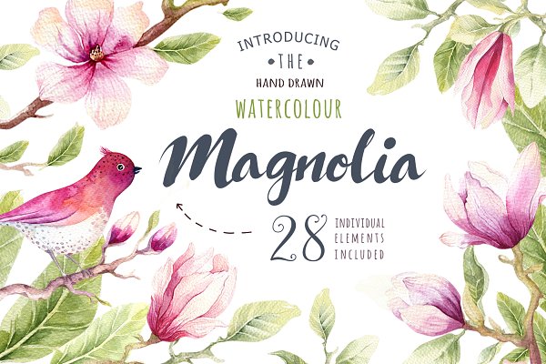 Download Watercolour magnolia and birds