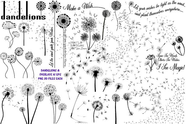 Download Dandelions & Overlays AI EPS PNG