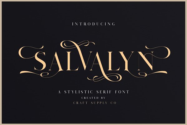 Download Salvalyn - Stylistic Serif Font