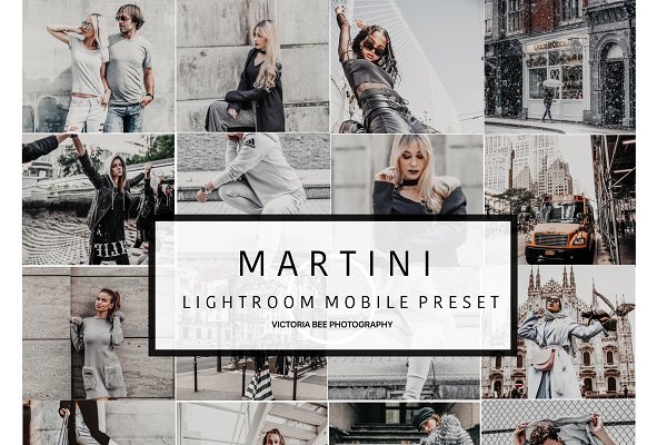 Download 5 Mobile Lightroom Preset MARTINI