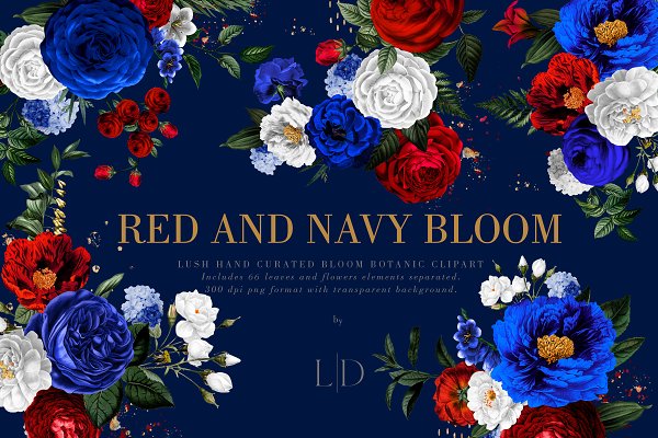 Download Red & Navy Bloom