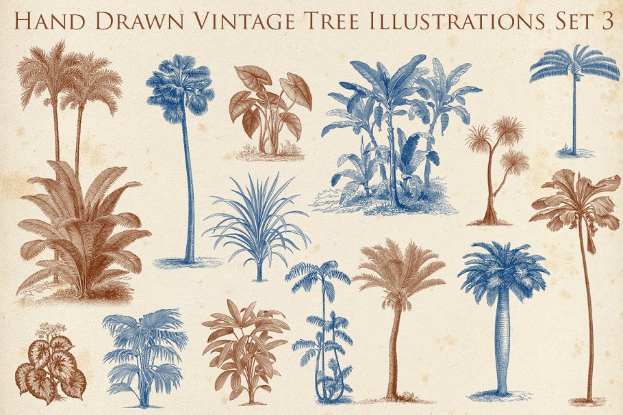Download Hand Drawn Vintage Exotic Tree Set 2