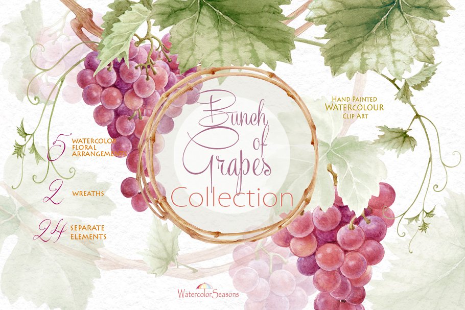 Download Bunch of Grapes Collection