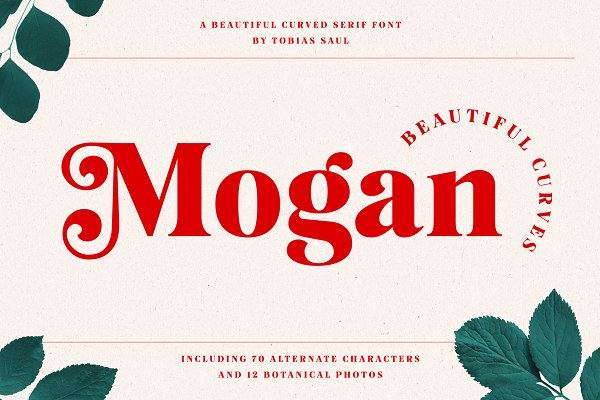 Download Mogan Font + Extras