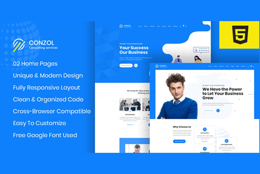 Download Conzol - Consultancy HTML Template