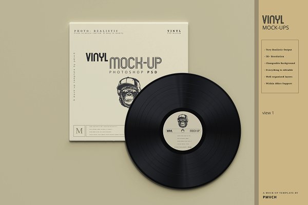 Download Vinyl Mockups