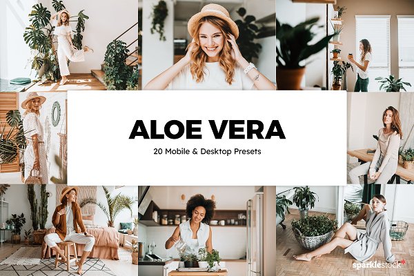 Download 20 Aloe Vera Lightroom Presets & LUT