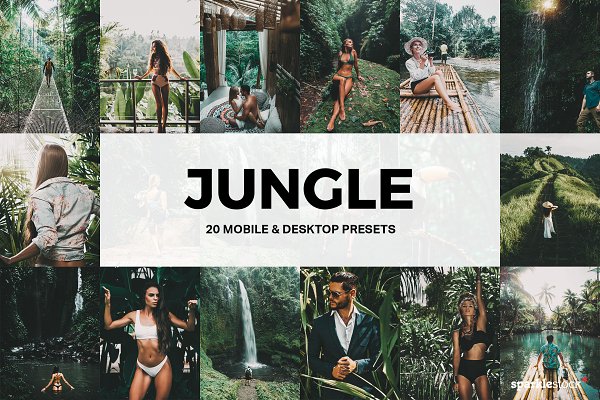 Download 20 Jungle Lightroom Presets and LUTs