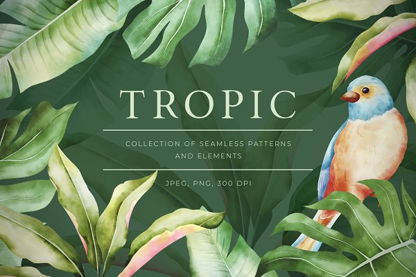 Download Tropic seamless patterns & motifs