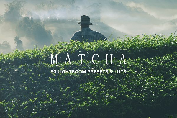 Download 50 Matcha Lightroom Presets and LUTs