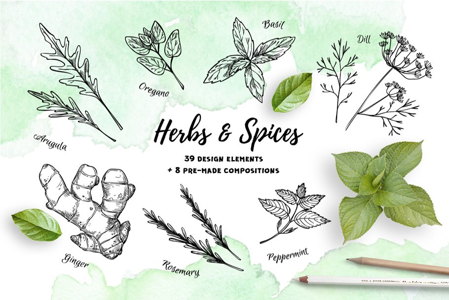 Download Herbs and Spices. Hand drawn set