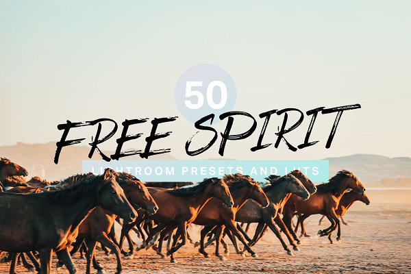 Download 50 Free Spirit Lightroom Presets