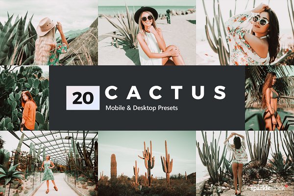 Download 20 Cactus Lightroom Presets and LUTs