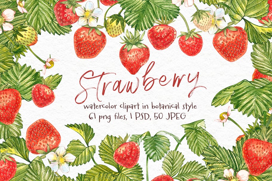 Download Strawberry illustrations