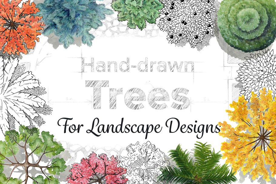 Download Hand-Drawn Trees