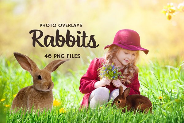 Download 46 Bunny Photo Overlays