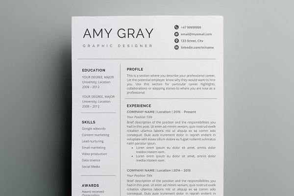 Download Professional resume template / CV