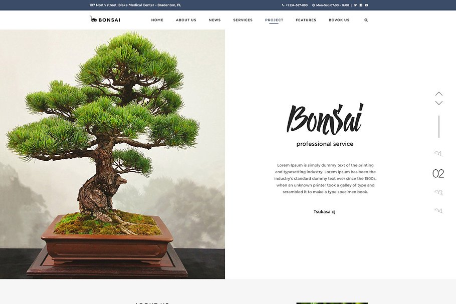 Download Bonsai - WP Landscapers & Gardeners