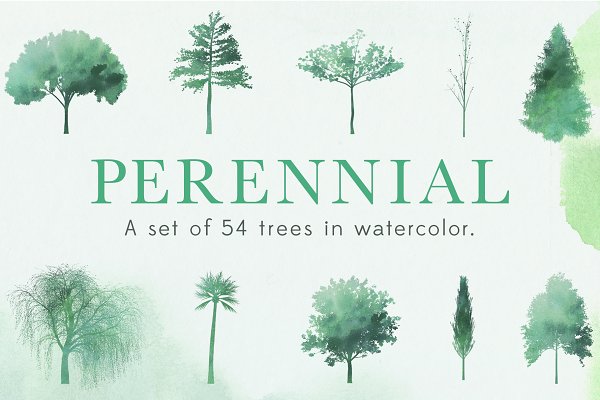Download Perennial Tree Watercolor Shapes