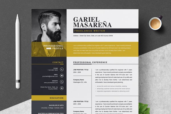 Download Professional Word Resume CV Template