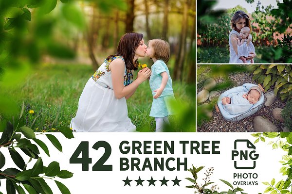 Download 42 Green Tree Branch Photo Overlays