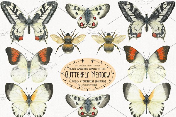 Download The Butterfly Meadow