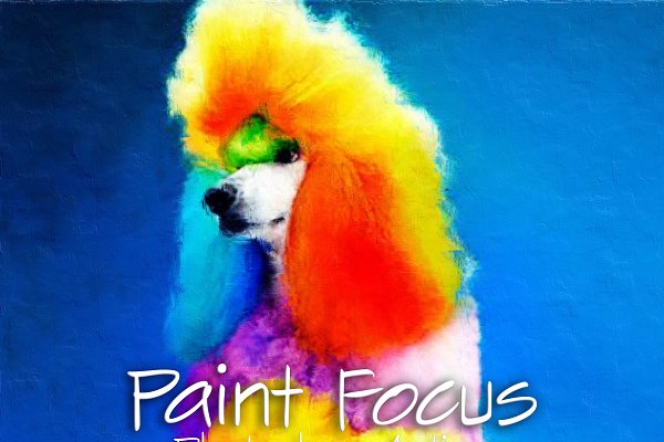 Download Paint Focus Photoshop Action