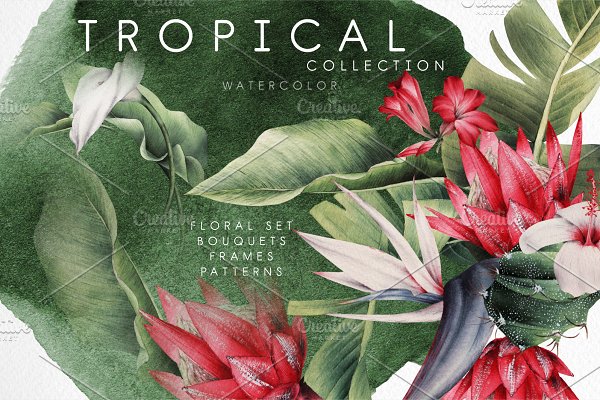 Download Tropical collection
