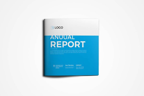 Download Square Annual Report Brochure