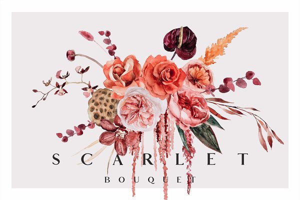 Download Scarlet bouquet - watercolor set