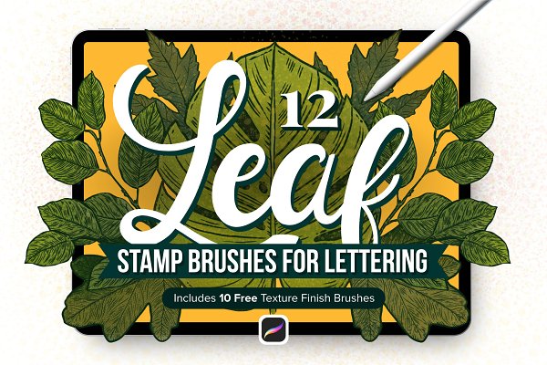 Download 12 Leaf Procreate Stamp Brushes