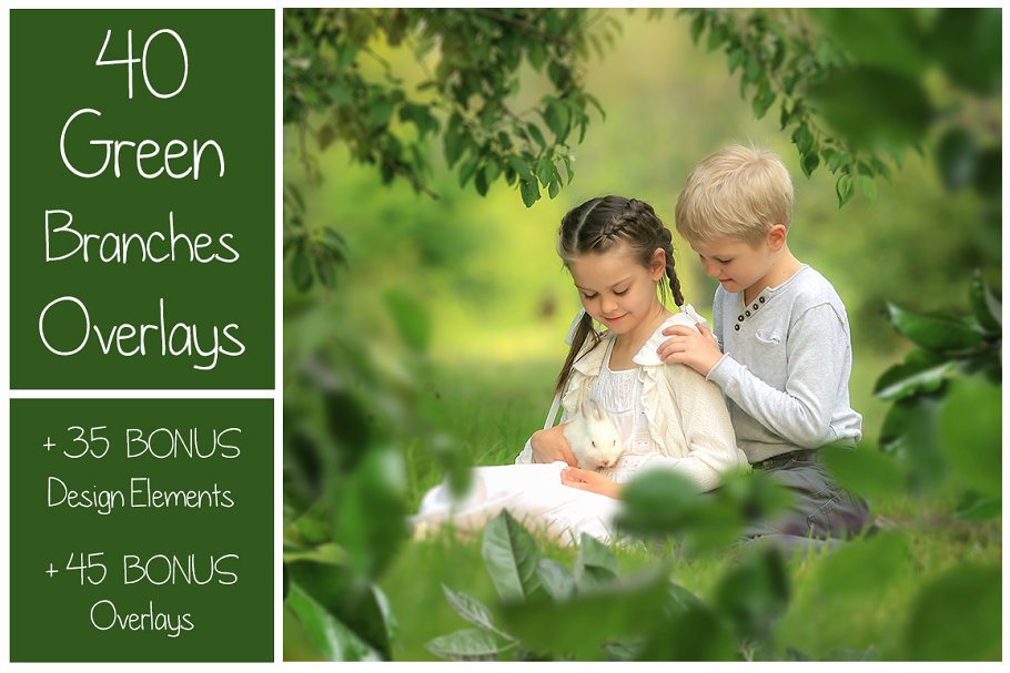 Download 120 Green Tree Branches Overlays