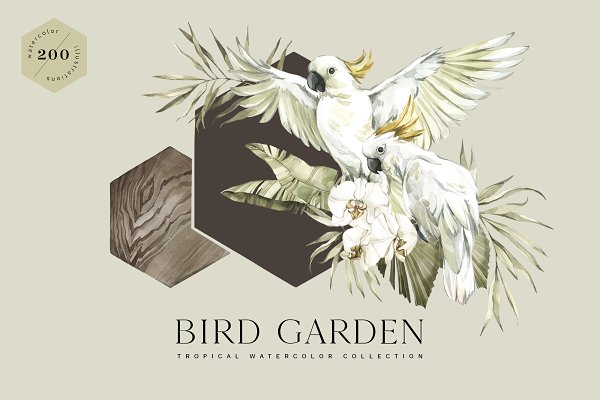 Download "BIRD GARDEN" Tropical collection