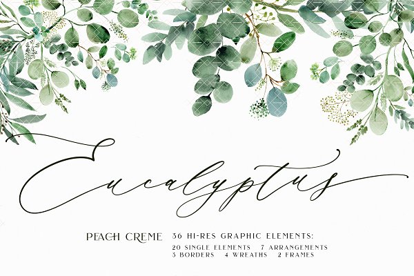 Download Eucalyptus // Watercolor Set