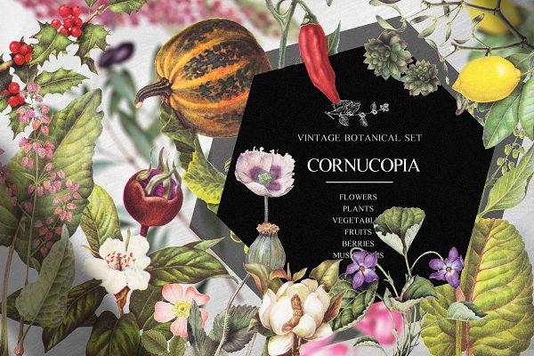 Download Vintage botanical set - Cornucopia