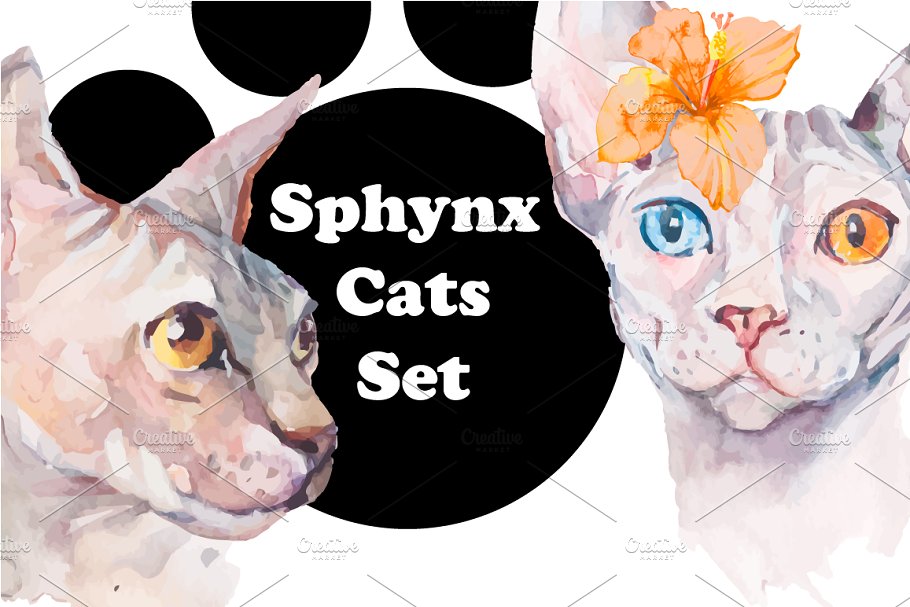 Download Watercolor Sphynx Cats Set