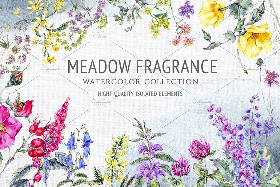 Download Meadow Fragrance