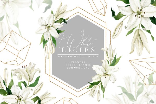 Download White Lilies Watercolor Collection