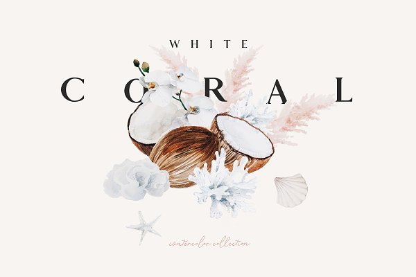 Download White coral - watercolor set