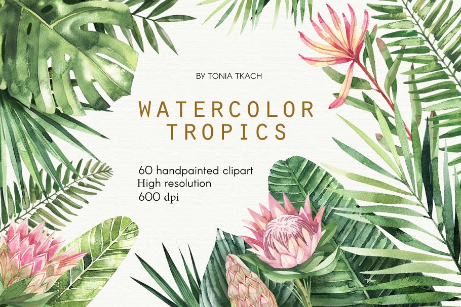 Download Watercolor Tropics