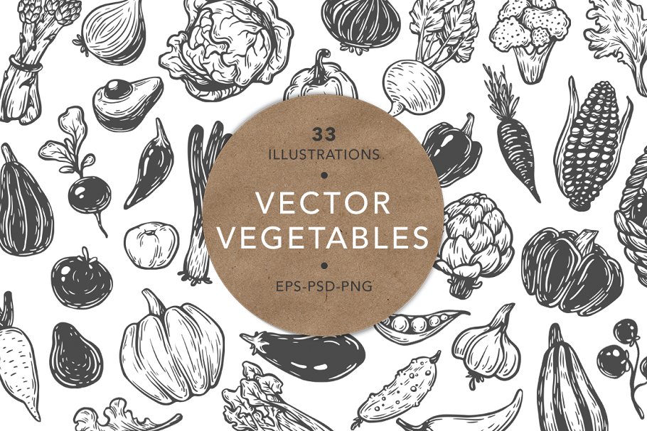 Download Vector Vegetables. Illustrations.