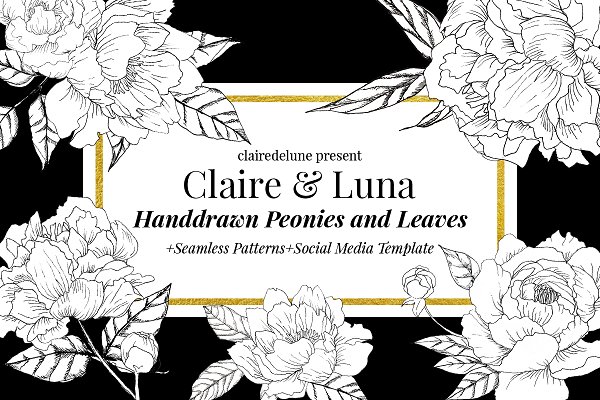 Download Claire & Luna - Handdrawn Peonies
