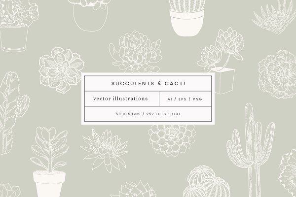 Download Succulent Cacti Vector Illustrations