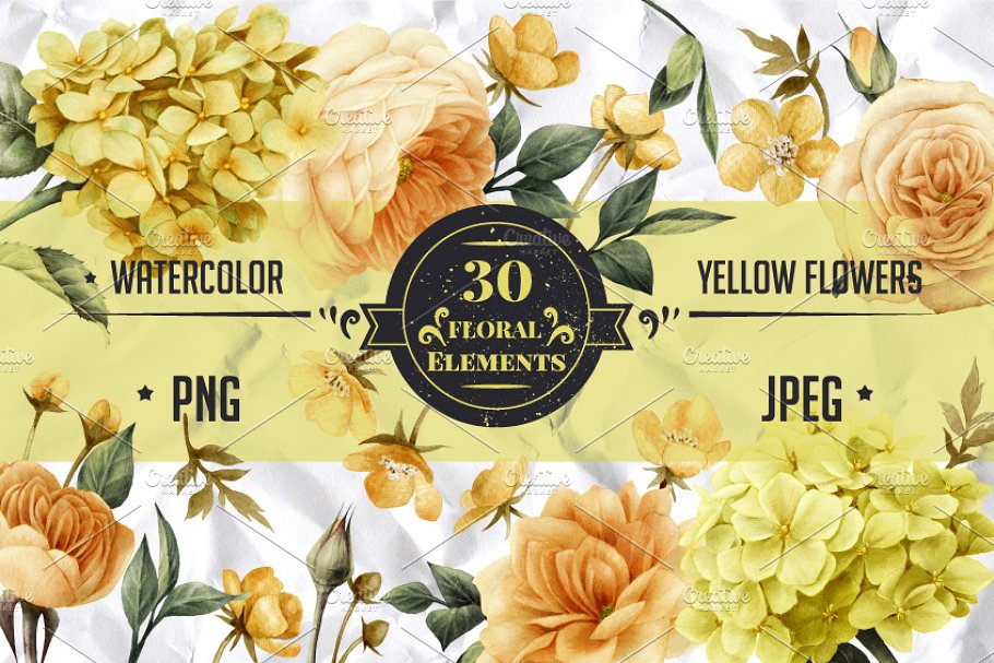 Download Yellow flowers