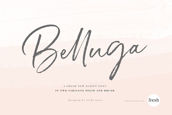 Download Belluga Brush Rough & Smooth